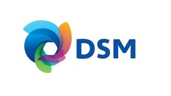 DSM Logo